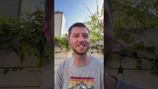 CSULB MBA Aplication Craig Klecker