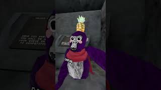 Part 5 of  Wacky Comp Course! #gorillatag #vr #gtag