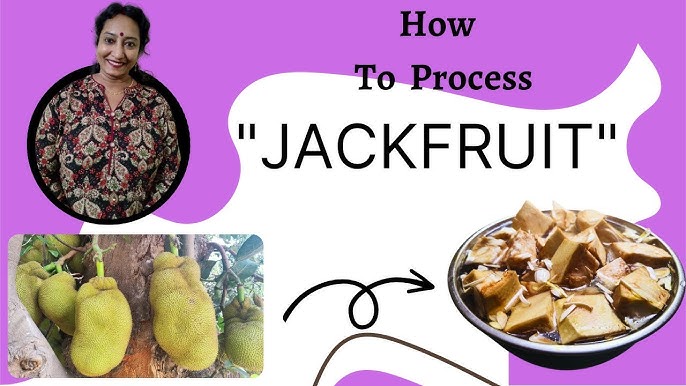 Easily Process Jackfruit A Step-by-step 2024