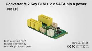 Delock 63464 Converter M.2 Key Bm To 2 X Sata Pin 8 Power