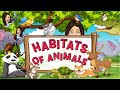 Habitats of animals  animals  where animals live  science  kindergarten  teacher beth class tv