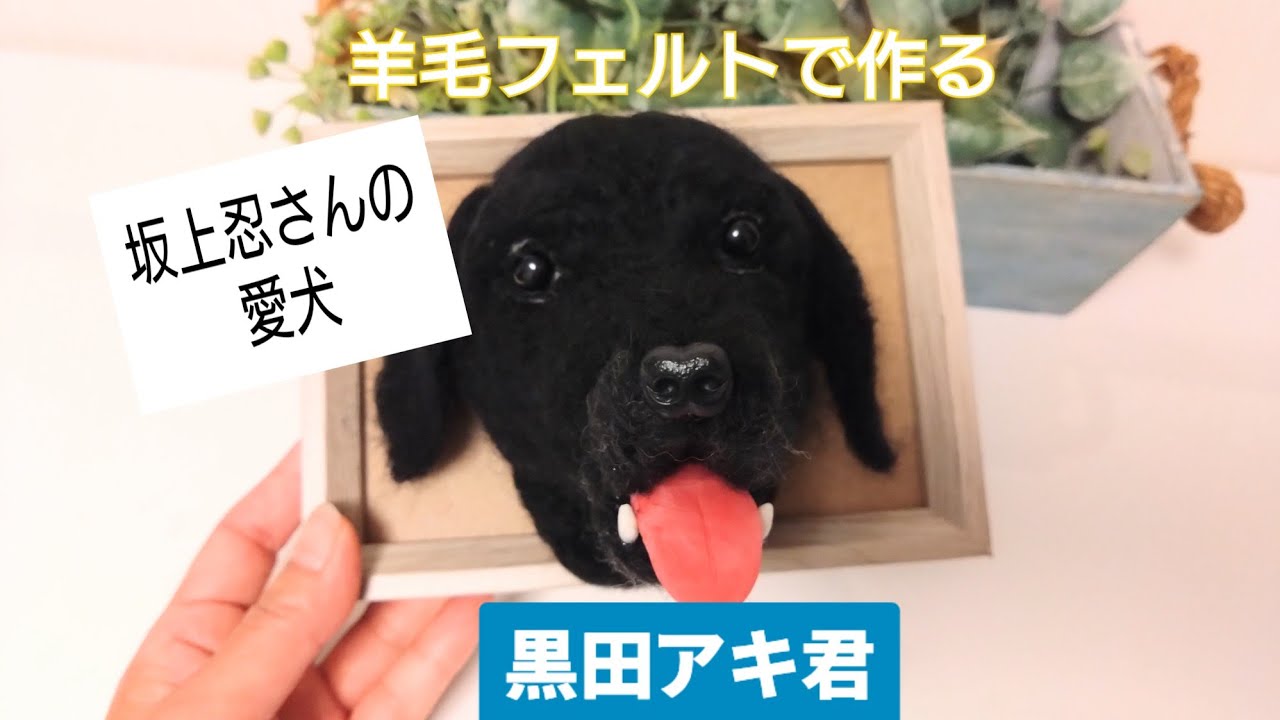 アキも似てると坂上さん目舌歯は手作りです - YouTube