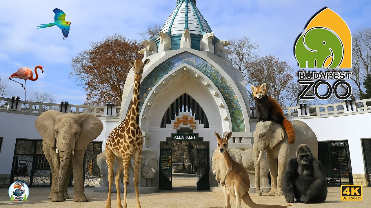 Budapest Zoo 🐼🐘 Budapesti Állatkert 🦜🌿Alla scoperta dello Zoo di Budapest 🦒🦍 Hungary 🇭🇺  Ungheria 🇭🇺