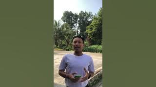 Keritisi film budi pekerti 2023 (Nim; 2201036026)