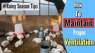 How To Maintain Proper Ventilation For Broilers In The Rainy Season