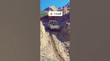 شاص ياكبدي ناس الخليج يعرفوها هادي تويوتا شاص خليجي Shorts 