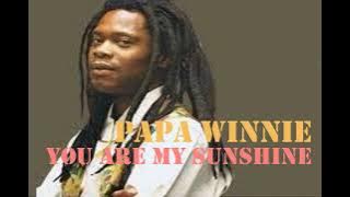 YOU ARE MY SUNSHINE ~ PAPA WINNIE ~ MUSIK REGGAE ( Lyrics )