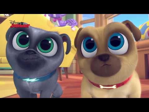 Vídeo: Os cachorrinhos estão no disney+?