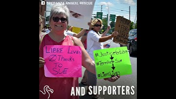 Rescued Puppy Who Couldn