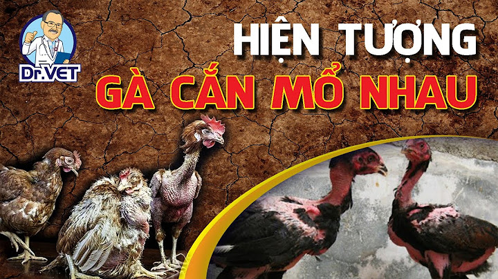 Cách trị gà mổ người