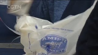 Free plastic bag ban takes effect in New York state