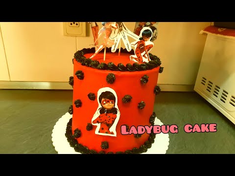 Video Cake Ladybug