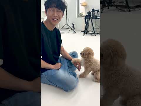 시각장애인 아빠가 삐졌다고 했더니 천재견 반응 #시트콤