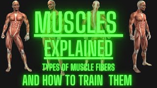 Muscle Fibers Explained - And how to train them 💪 🏋️ 🦴 🦵 #muscle #muscles #workout #howto