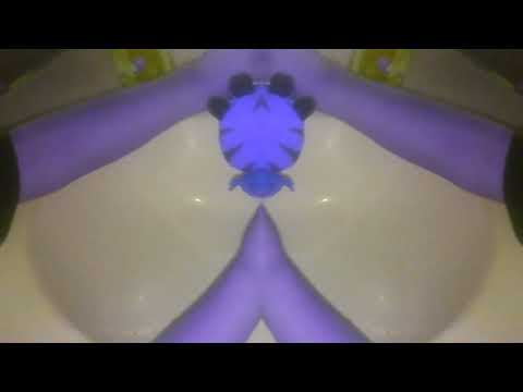 Bad Dream Cat Moves In Has A Conga Busher