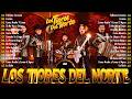 PUROS CORRIDOS PESADOS DE TIGRES DEL NORTE ~ LOS TIGRES DEL NORTE CORRIDOS PROHIBIDOS ALBUM COMPLETO