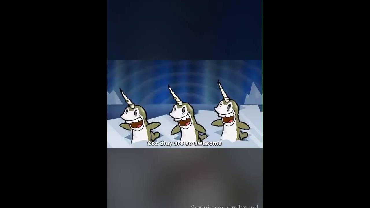 Narwhal song