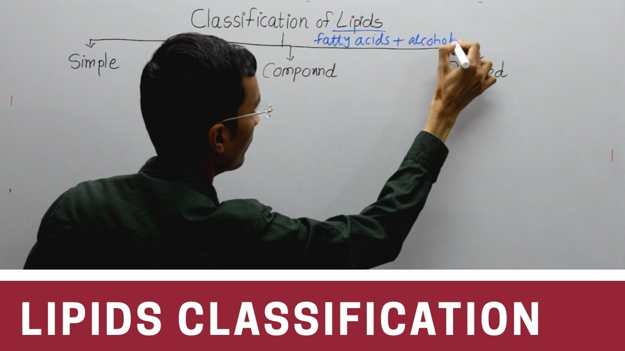 Classification Of Lipids Chart