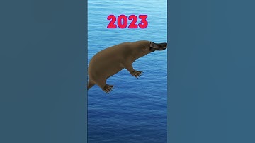 2023 Platypus vs 5000 bce Platypus