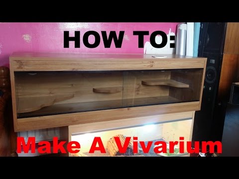 Procedure: Make A Vivarium