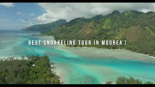 The Best Snorkeling Spots In Moorea