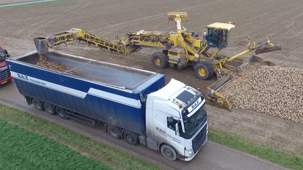 Bax transport Leende in de bietencampagne. Volvo FH/Knapen trailers/Ropa euro maus 4