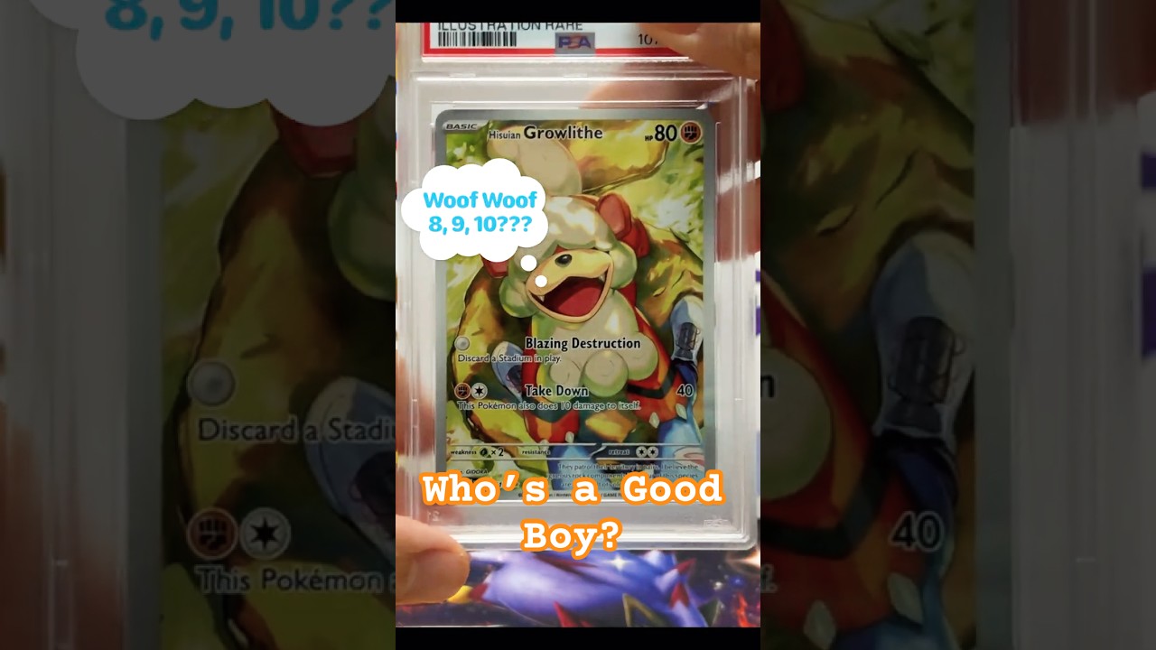 Husian Growlithe Illustration Rare from Twilight Masquerade 