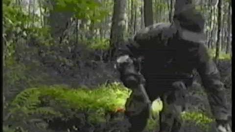 ProLine Autoresponse Frame for Automag (1993)