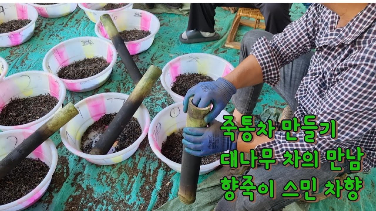 죽통차 만들기 향죽의 맑고 시원한 맛과 고수차의 결합 전통방식의 황토방건조