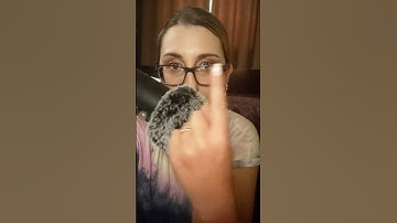 Follow My Instructions Right Now #short