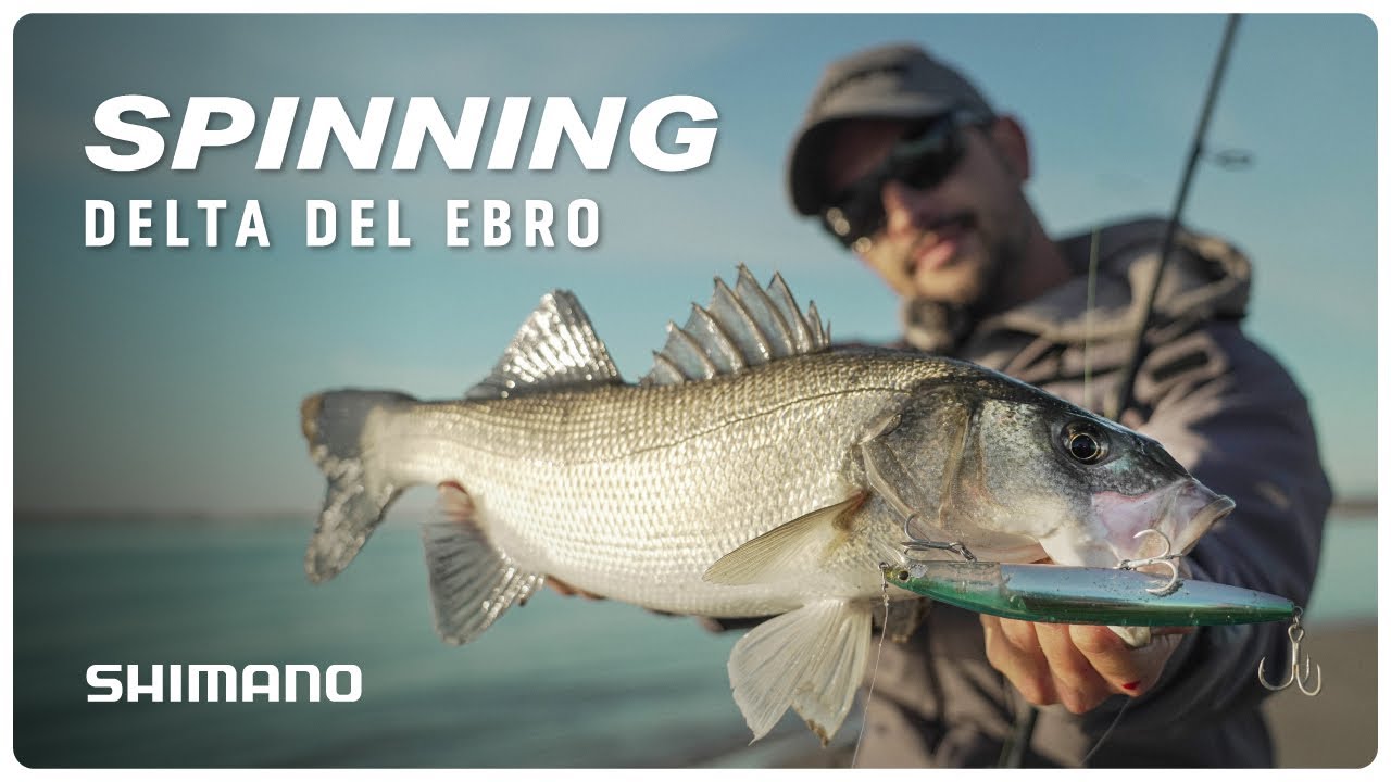 SPINNING DELTA DEL EBRO // Lubinas y palometones desde orilla