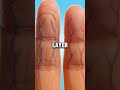 WHY YOUR FINGERS WRINKLE IN WATER