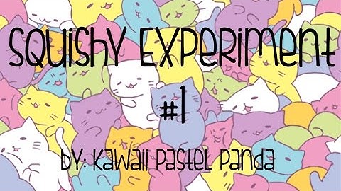 Squishy Experiment #1