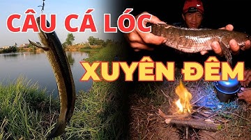 CÂU CÁ LÓC : ĂN BỜ NGỦ BỤI TÌM HUGO #5râuđivàcâu #recaloc #caucaloc #fishing #lure