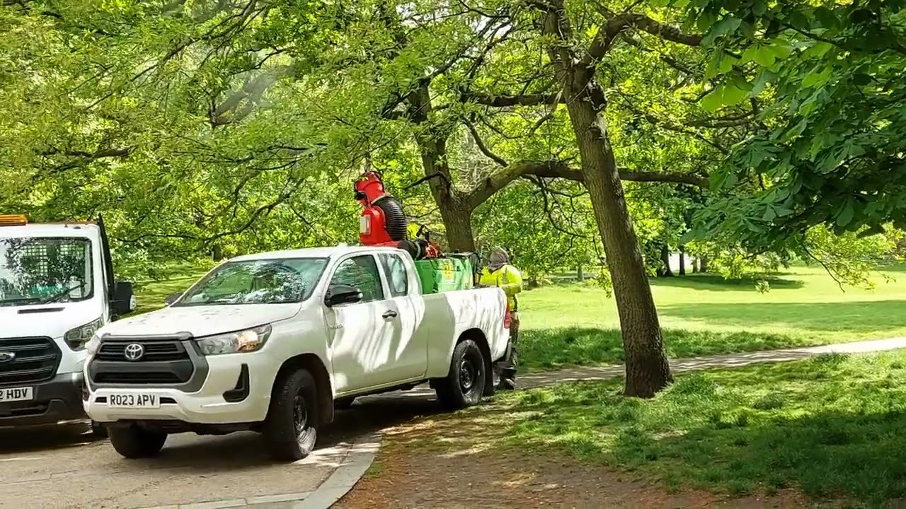 Affordable pest exterminators Cleveland