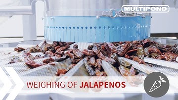 Multihead weigher | Weighing of chipotles | MULTIPOND