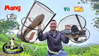 Bắt Được Con Cá To Ở Mương Nước Giữa Đồng Và Quyết Định - Mang Xá..c Rắn Về Nhà / Quế Nghịch