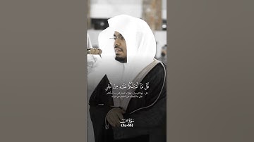 ما تيسر من سورة ص ، القارىء الشيخ ياسر الدوسري #القرآن_الكريم #ياسر_الدوسري #الحمد_لله #غزة