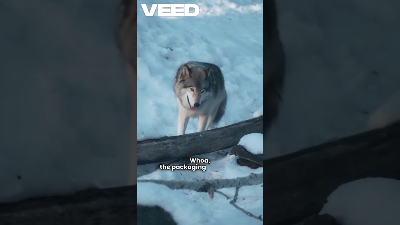 "Silent But Deadly: The Wolf’s Strike"