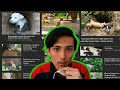 EXPOSING some Fake Animal Rescue Videos.