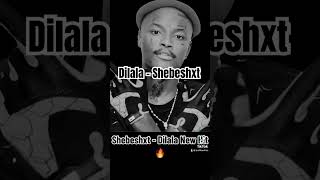 Dilala  Shebeshxt Unreleased Hit    shebeshxt