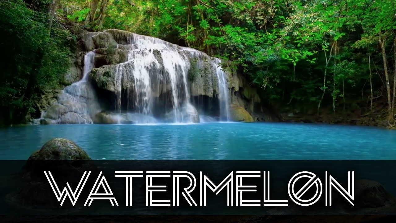 Loga - Delight [Elemelons World x ChillArea Release]