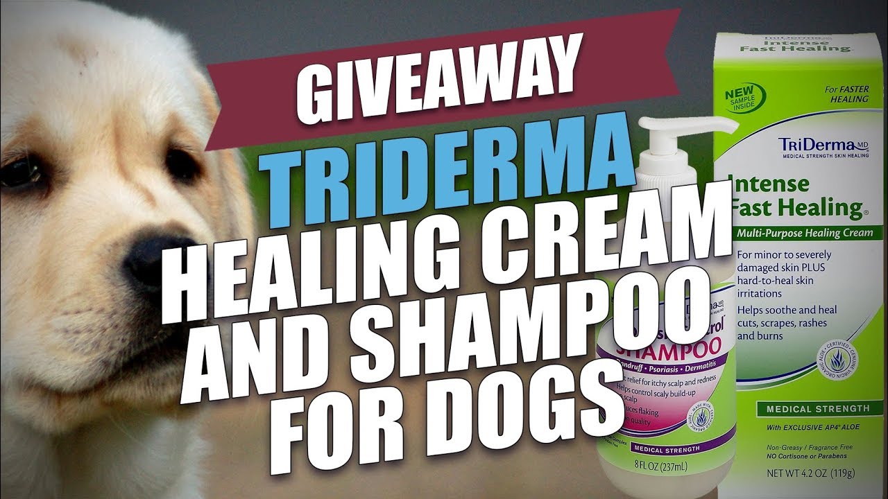 Giveaway: TriDerma Healing Cream and Shampoo for Dogs - YouTube