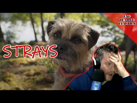 Strays | Red Band Trailer Reaction