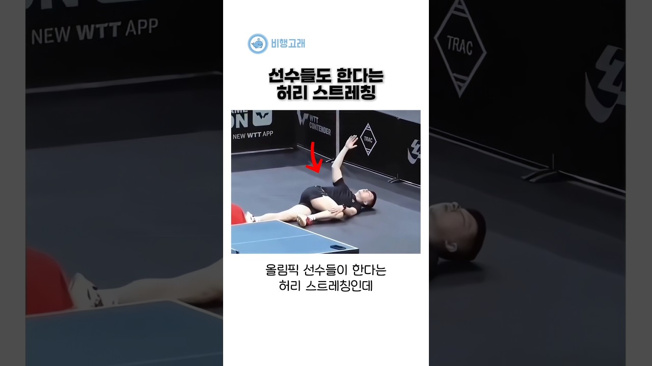 선수들도 한다는 허리스트레칭이 따로 있는 이유