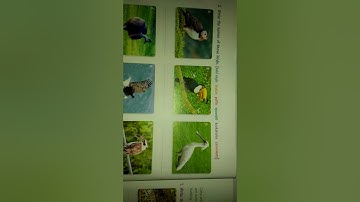 Class-5 G.K  Chapter-4 (Animals World)  By: Kishan Sir