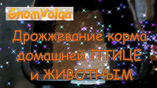 Дрожжевание корма домашней ПТИЦЕ и ЖИВОТНЫМ / субтитры Дрожжевание корма домашней ПТИЦЕ и ЖИВОТНЫМ / субтитры
