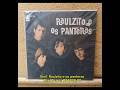Vinil Raul seixas Raulzito e os panteras mono 1968