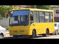 У Коломиї відновлює роботу громадський транспорт