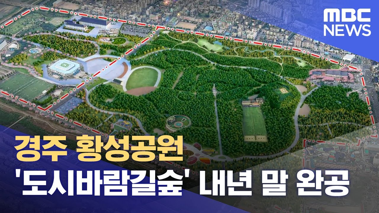 경주 황성공원 '도시바람길숲' 내년 말 완공 (2024.11.08/뉴스데스크/포항MBC)